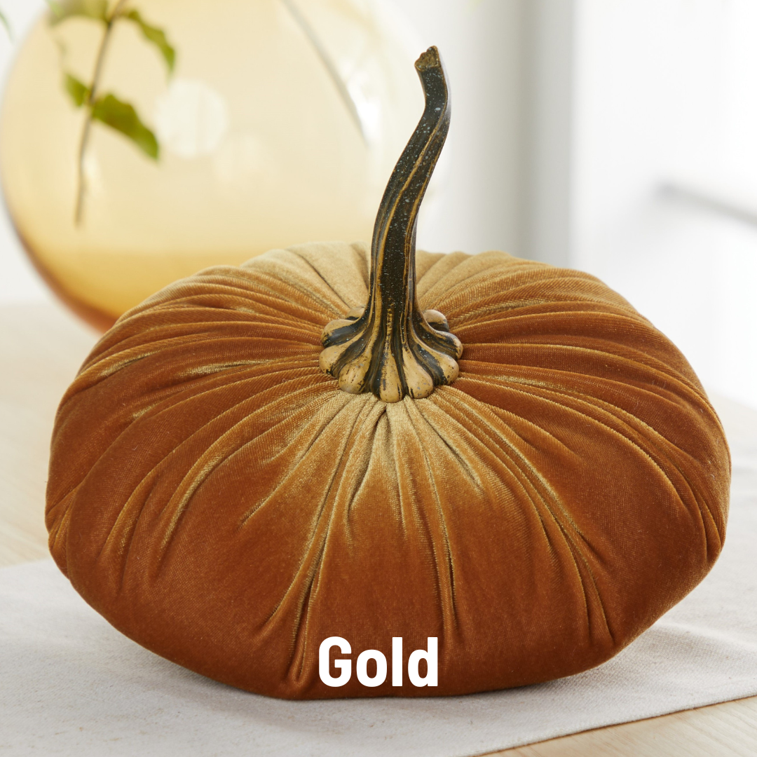 Pumpkin Extra Large Velvet, Fall Accent, Thoughtful Gift