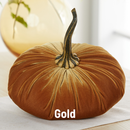 Pumpkin Extra Large Velvet, Fall Accent, Thoughtful Gift