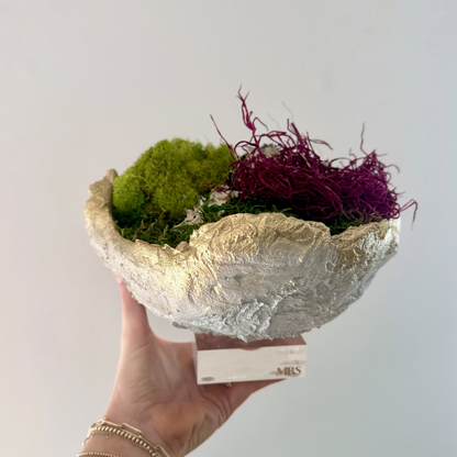 Small Bowl White/Gold