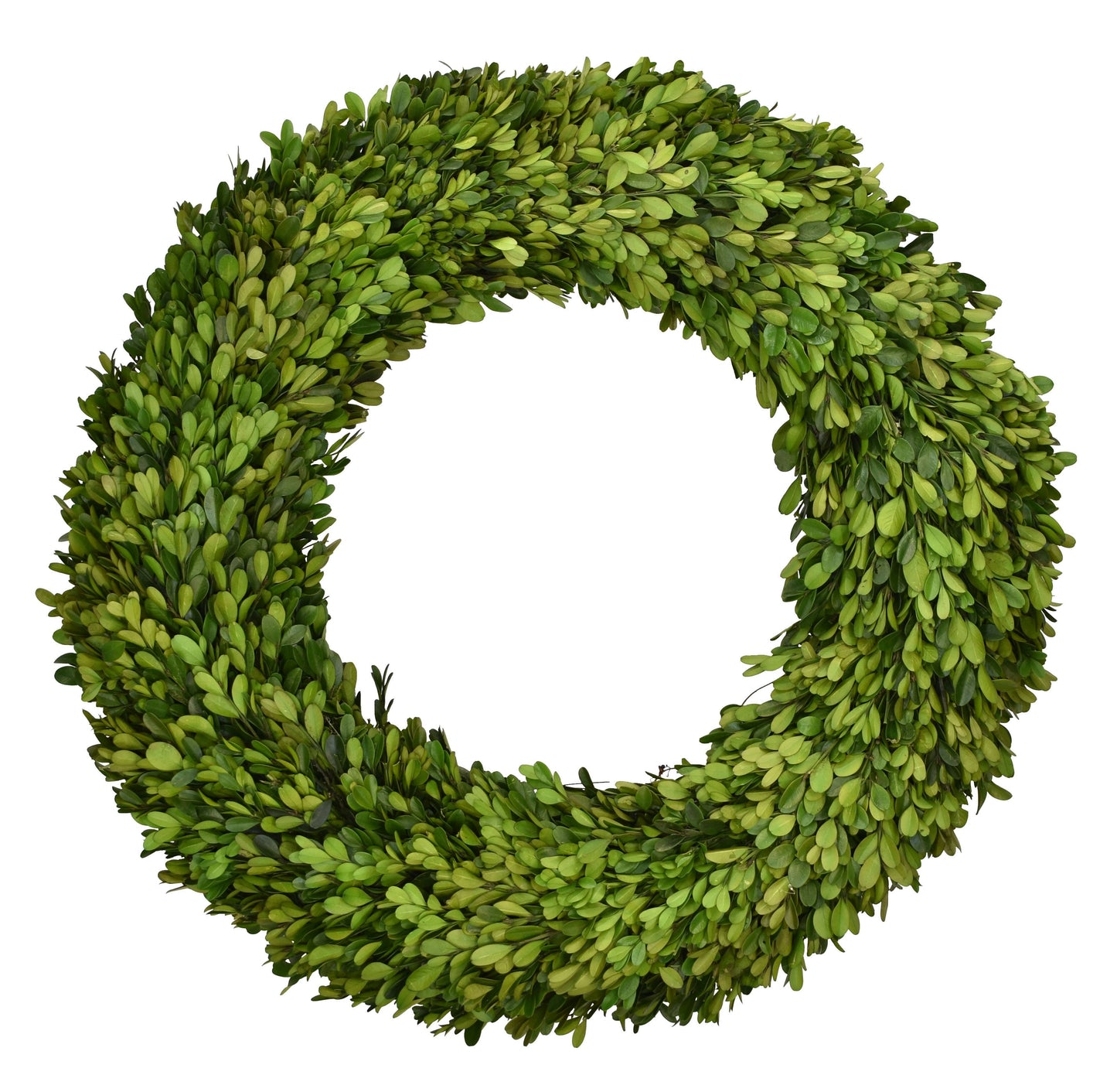 22” Round - Preserved Boxwood Country Manor Wreath (Copy)