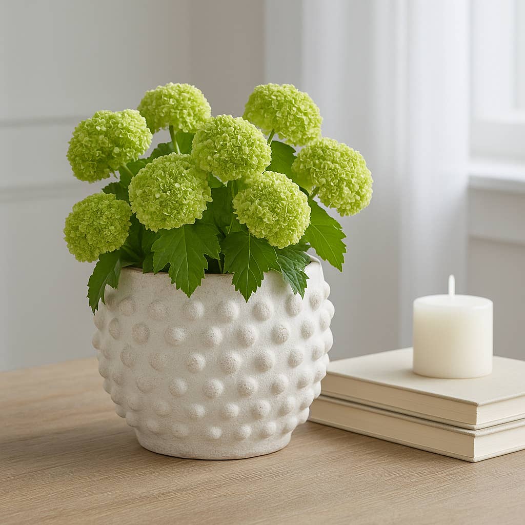 Planter - White Terracotta Round Bubble Rough Finish, 6 in.