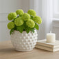 Planter - White Terracotta Round Bubble Rough Finish, 6 in.