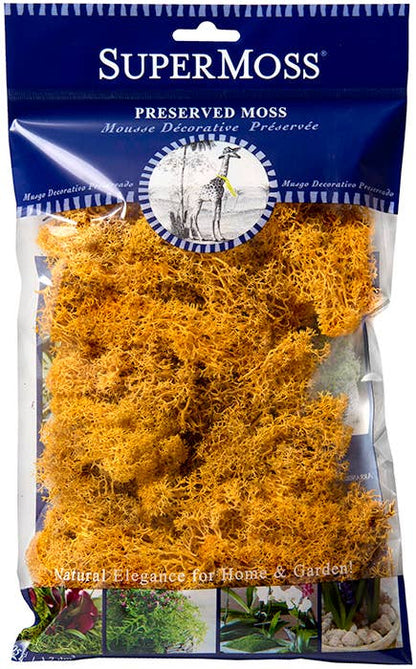 Reindeer Moss Preserved 2oz bags