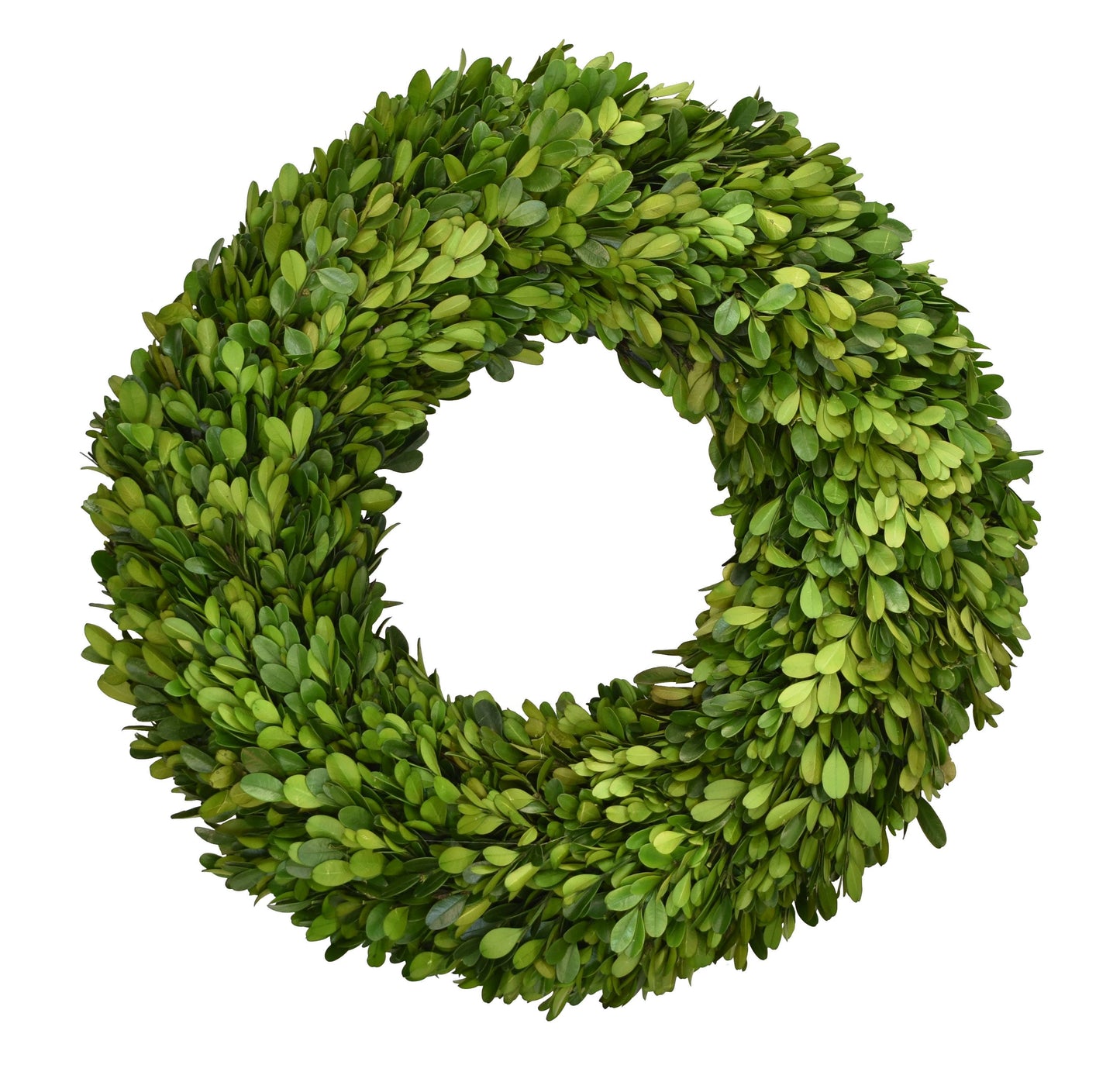 16” Round - Preserved Boxwood Wreath