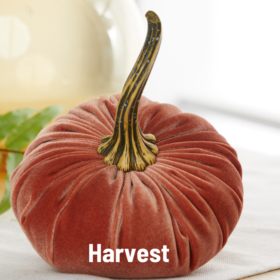 Pumpkin Large Velvet, Fall Mantel Decor, Halloween Table