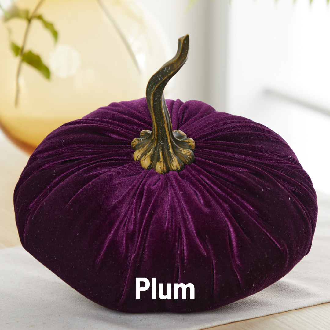 Pumpkin Extra Large Velvet, Fall Accent, Thoughtful Gift