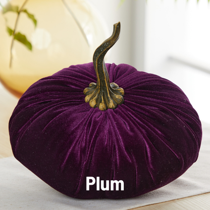 Pumpkin Extra Large Velvet, Fall Accent, Thoughtful Gift