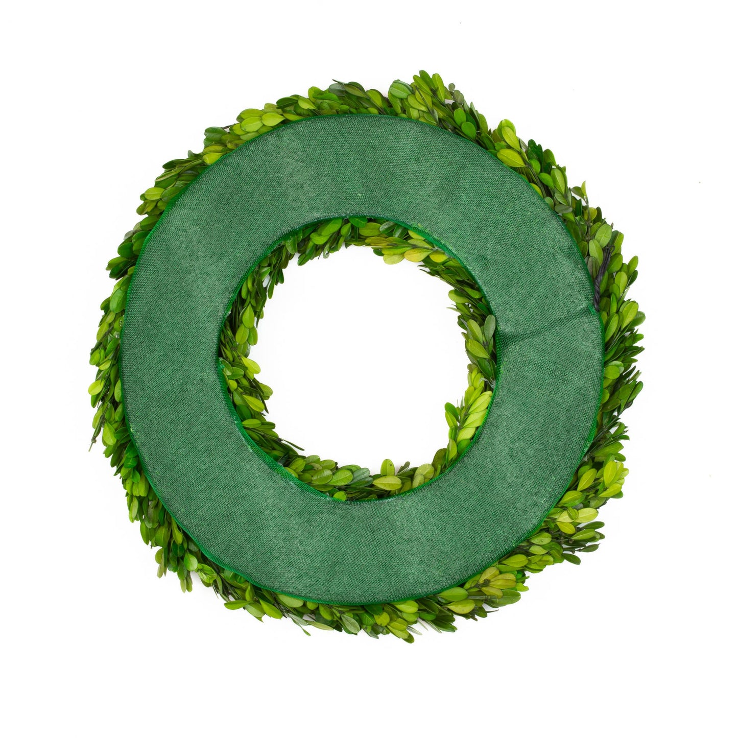 16” Round - Preserved Boxwood Wreath