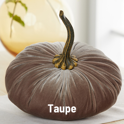 Pumpkin Extra Large Velvet, Fall Accent, Thoughtful Gift