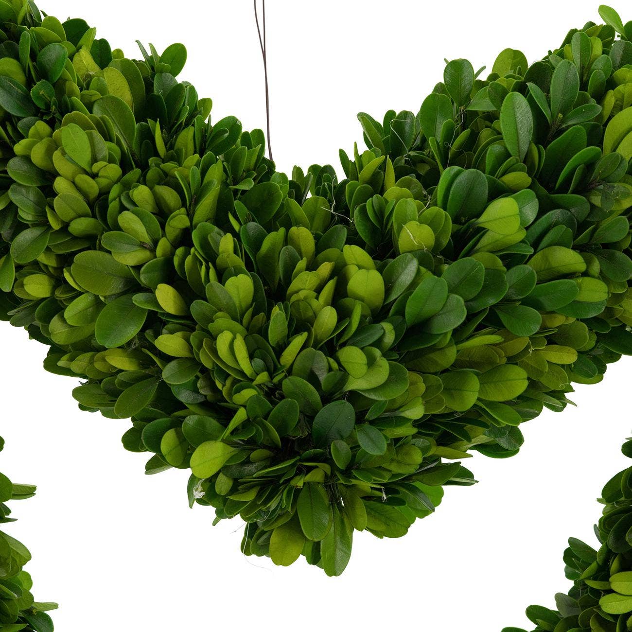 16" Heart - Preserved Boxwood Wreath - Green
