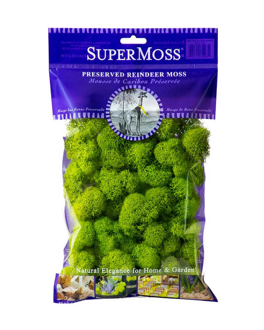 Reindeer Moss Preserved 2oz bags