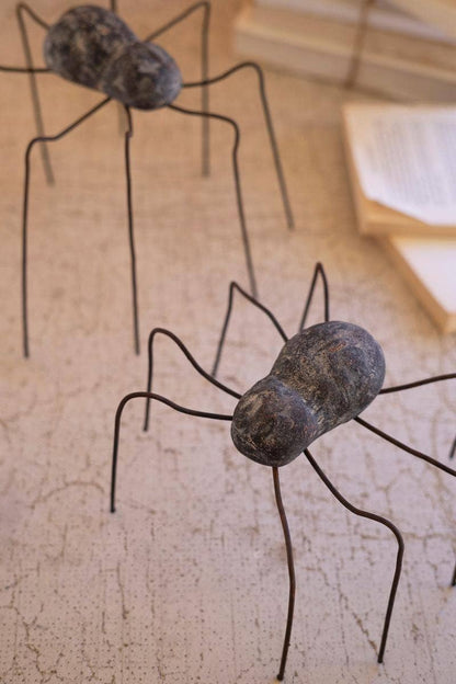 CLAY AND WIRE SPIDERS