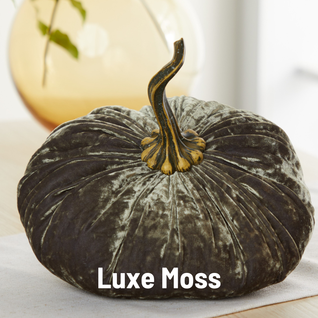 Pumpkin Extra Large Velvet, Fall Accent, Thoughtful Gift