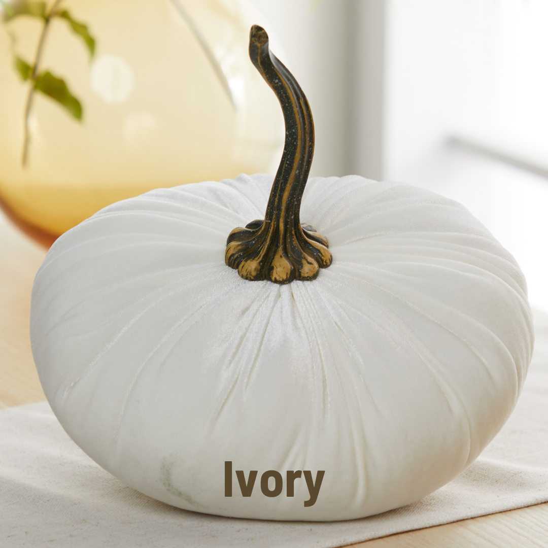 Pumpkin Extra Large Velvet, Fall Accent, Thoughtful Gift
