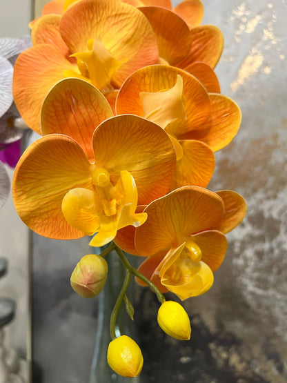 36" Real touch Large bloom Phalaenopsis Orchid-9 Flowers