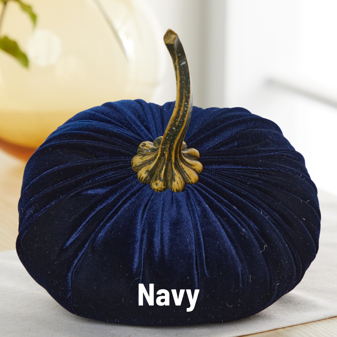 Pumpkin Extra Large Velvet, Fall Accent, Thoughtful Gift