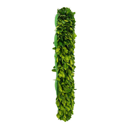 16" Heart - Preserved Boxwood Wreath - Green