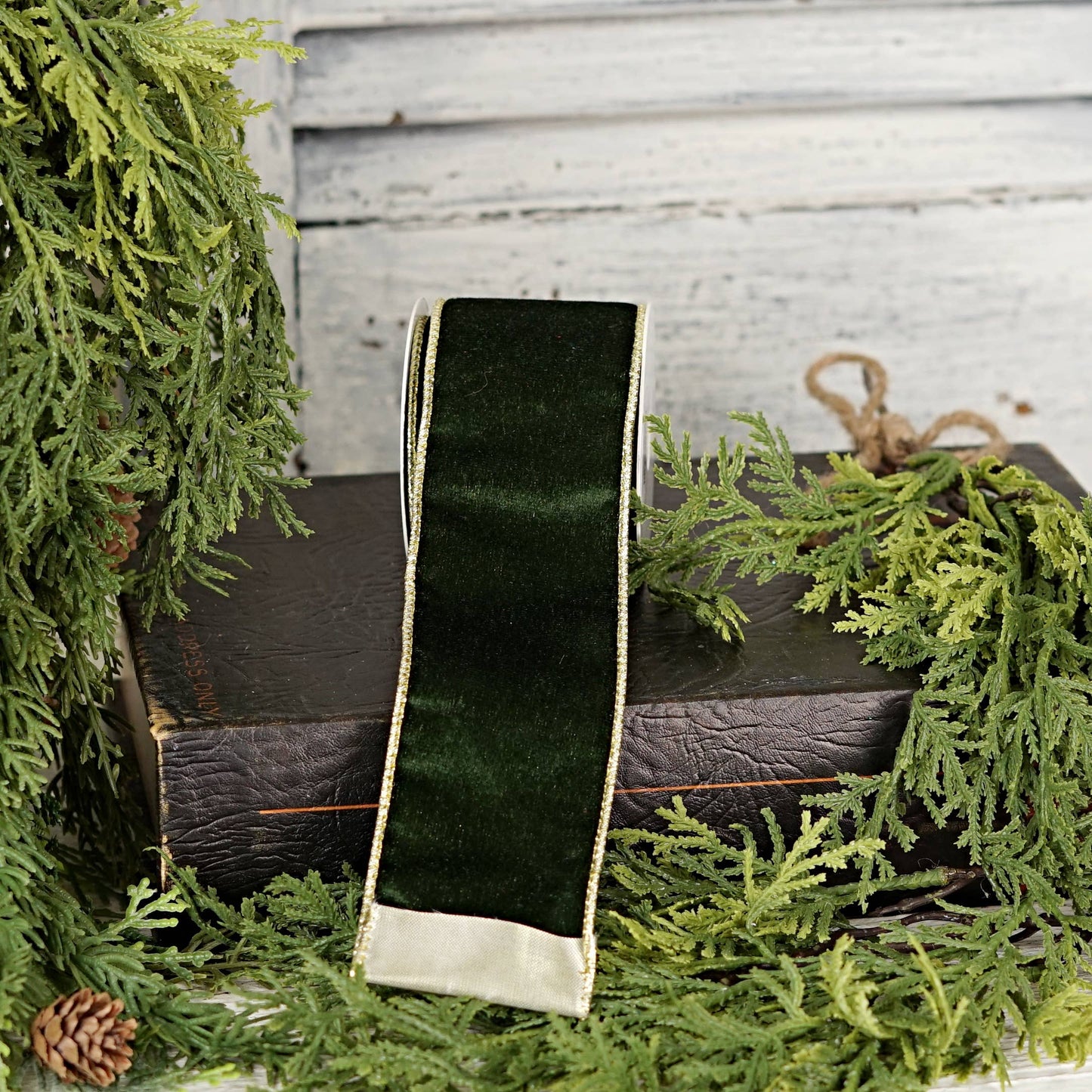 57R1266- Velvet Wired Ribbon-2.5inx10YD-Olive Green/Gold Wir