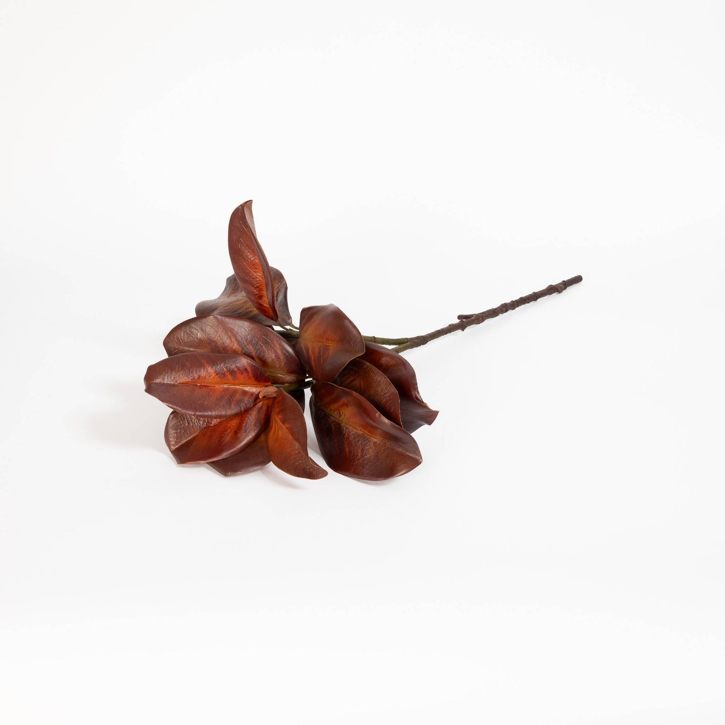 Magnolia Leaf Spray Bourbon 26 Inch