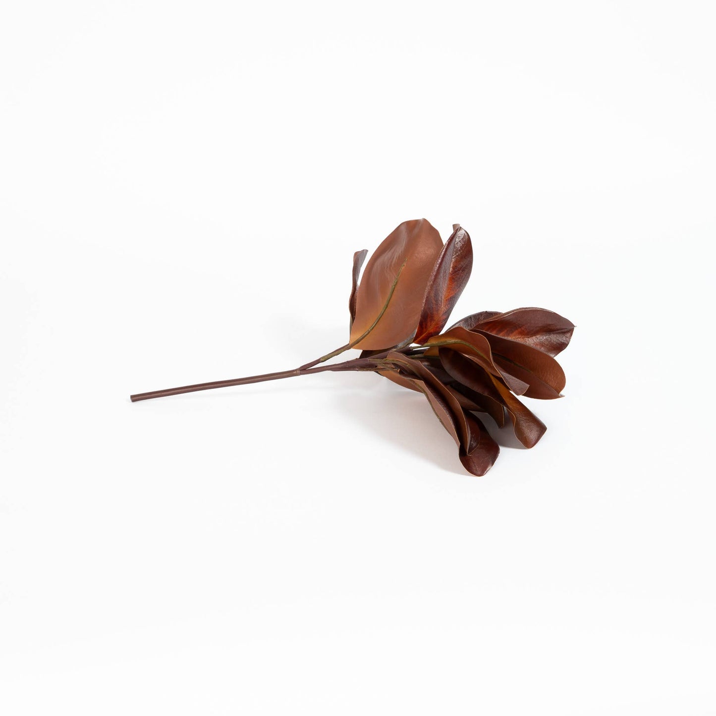 Magnolia Leaf Spray Bourbon 16 Inch