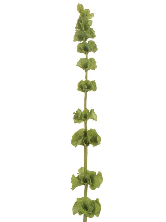 32" BELLS OF IRELAND