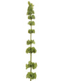 32" BELLS OF IRELAND
