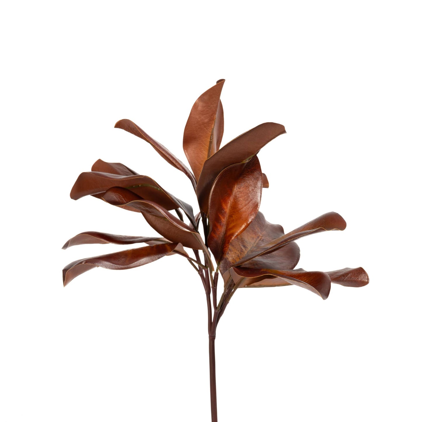 Magnolia Leaf Spray Bourbon 16 Inch
