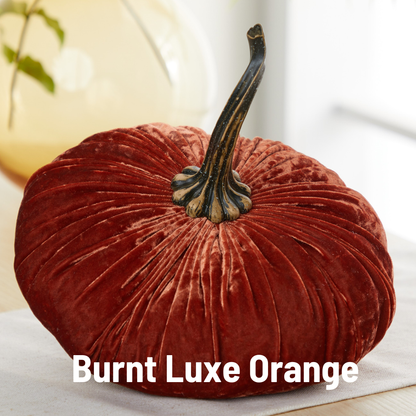 Pumpkin Extra Large Velvet, Fall Accent, Thoughtful Gift