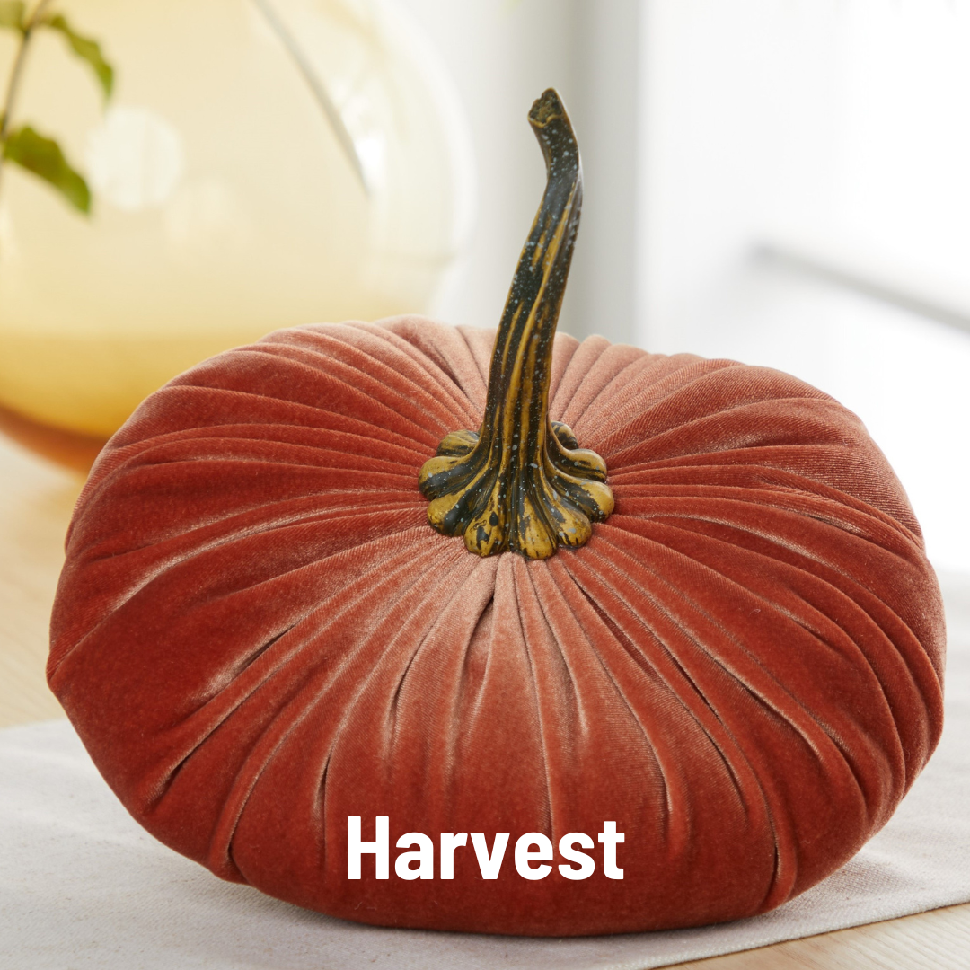 Pumpkin Extra Large Velvet, Fall Accent, Thoughtful Gift