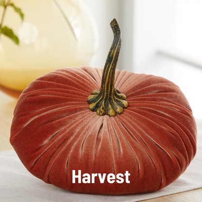 Pumpkin Extra Large Velvet, Fall Accent, Thoughtful Gift