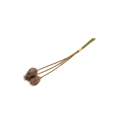 Poppy Pod Bunch 20 Inch
